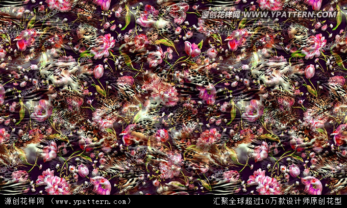 Ӿ��Ӿ�b���� ���w���ܻ��� ���W��